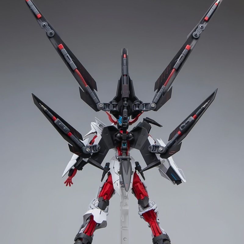 HG 1/144 Astray No-Name Astray - مراجعة Model Kit Daban وسعره